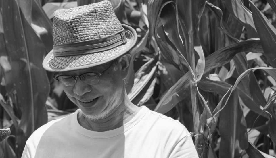 Don Quixote's Journey through Illusions